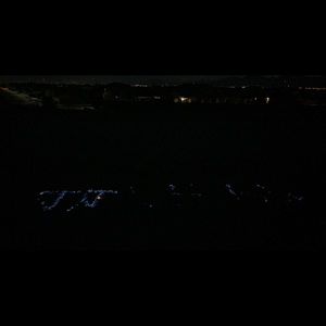 Meet your Posher, Jackson